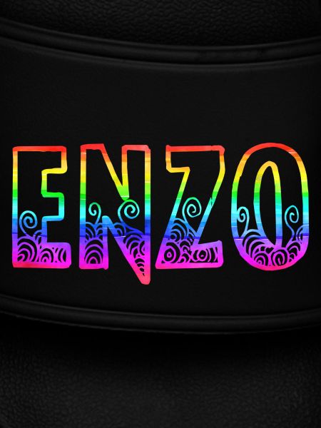 enzo rs regenbogen