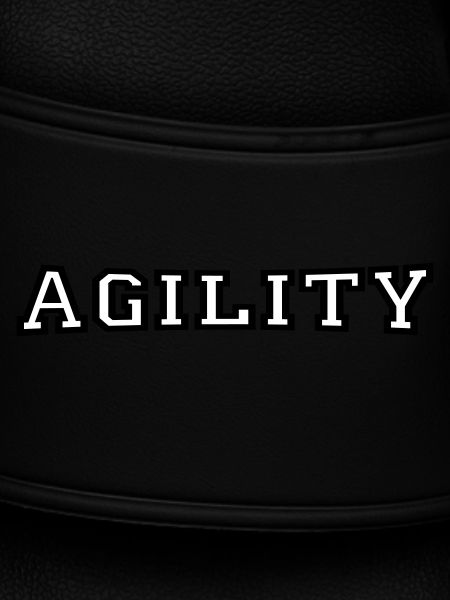 agility