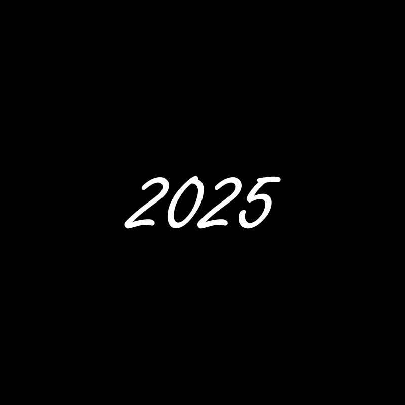 2025 year
