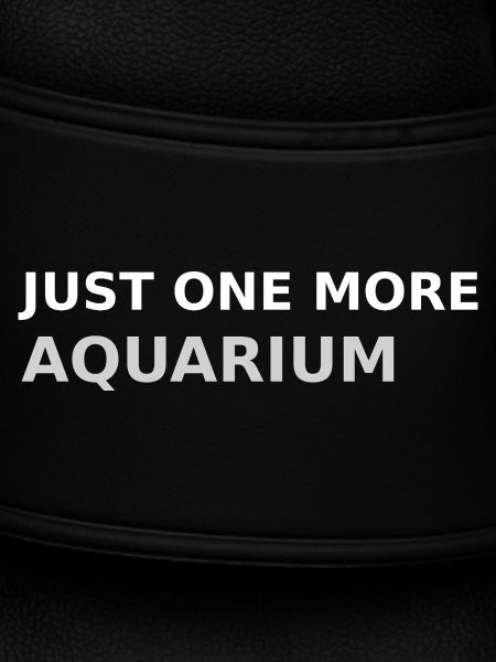 Only one aquarium left