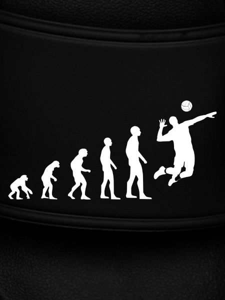 Volleyball Evolution