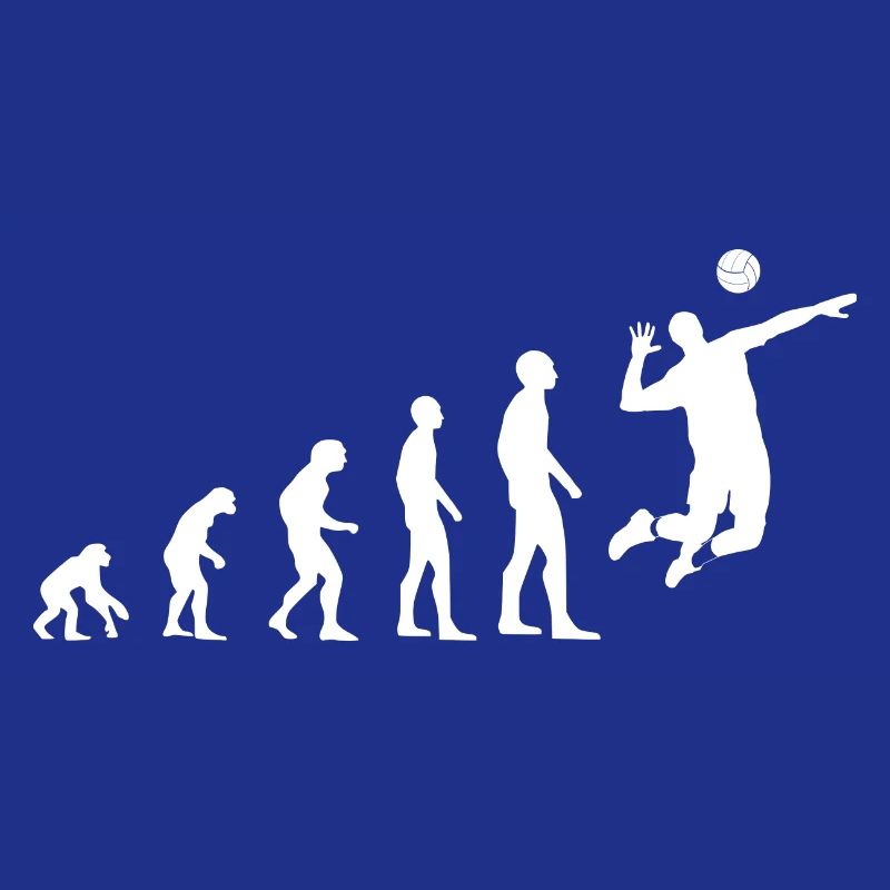 Volleyball Evolution