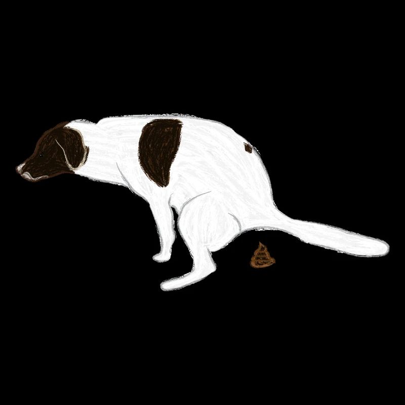 English Pointer Hund bei seinem Geschäft I