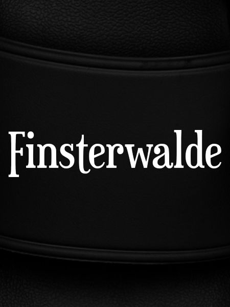 Finsterwalde
