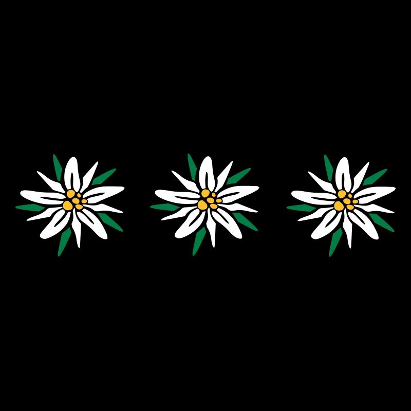 Edelweiss