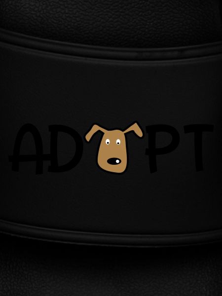 adopt