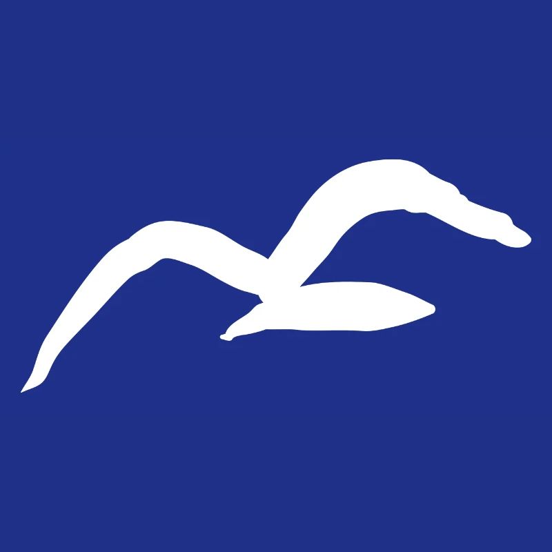 Möwe