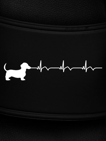 Dackel EKG Herzschlag