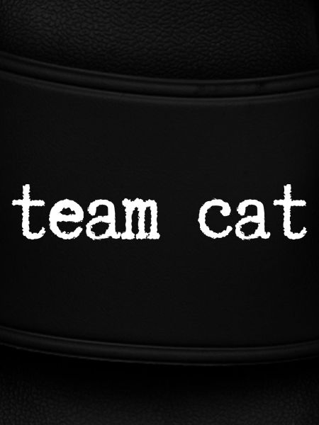 Team Katze