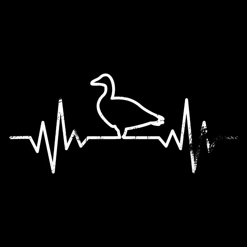 Canard