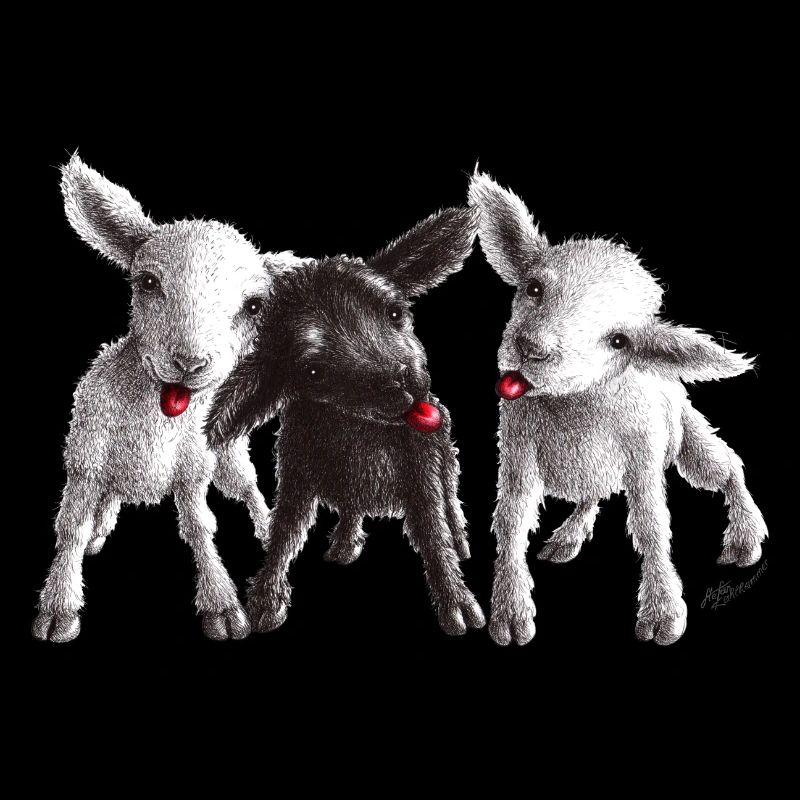 mouton effronté