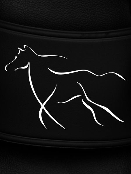 Elegantes Pferd 