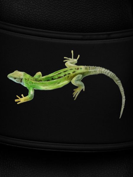 Gecko Green Pattern