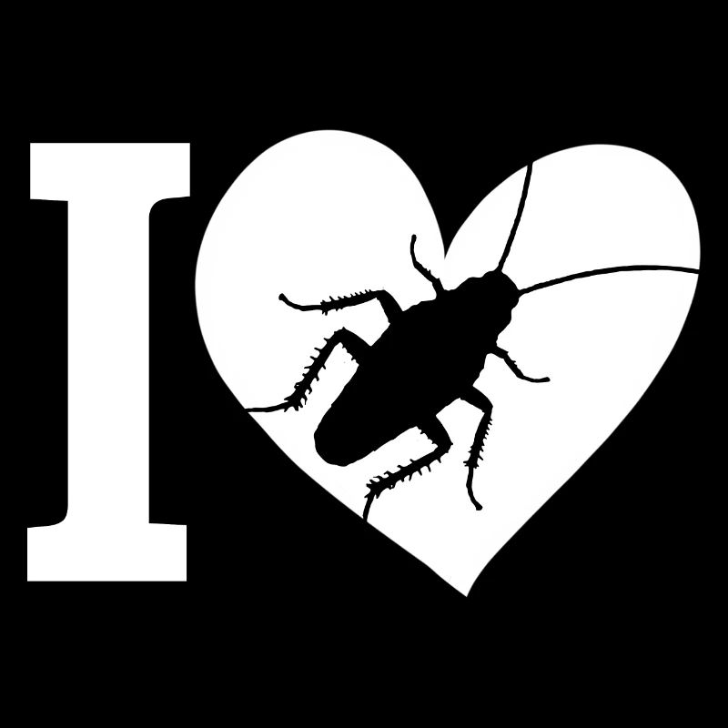 insecte cafard