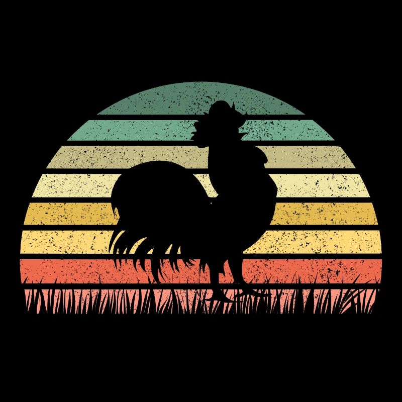 Chicken Chicken