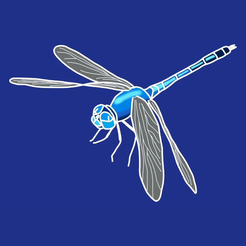 dragonfly