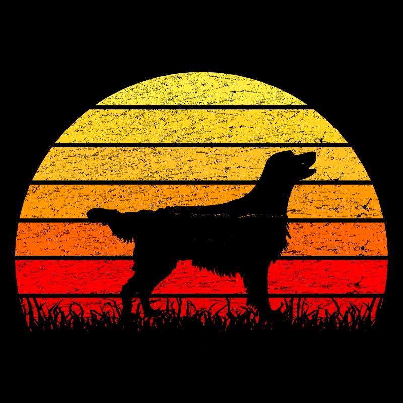 Flat Coated Retriever Sunrise