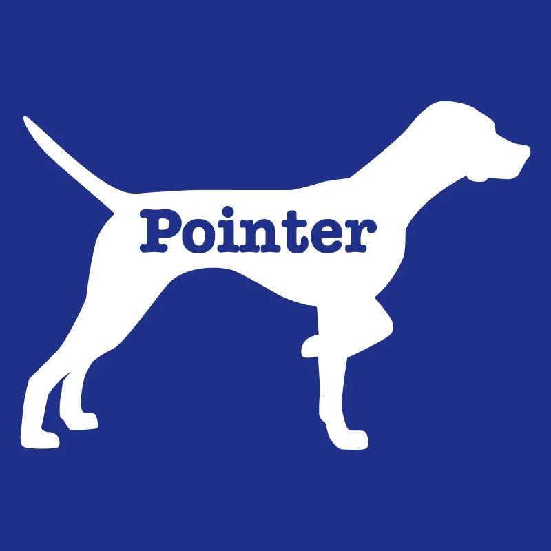 Pointer