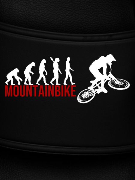 Evolution Mountainbike