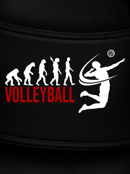 Evolution Volleyball