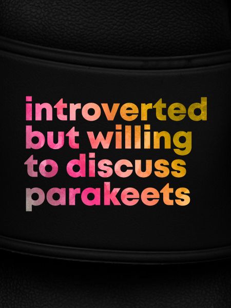 Parakeet Parakeet Parakeet