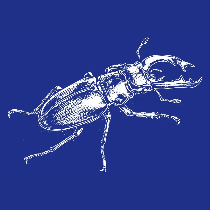 Conception de gros insectes
