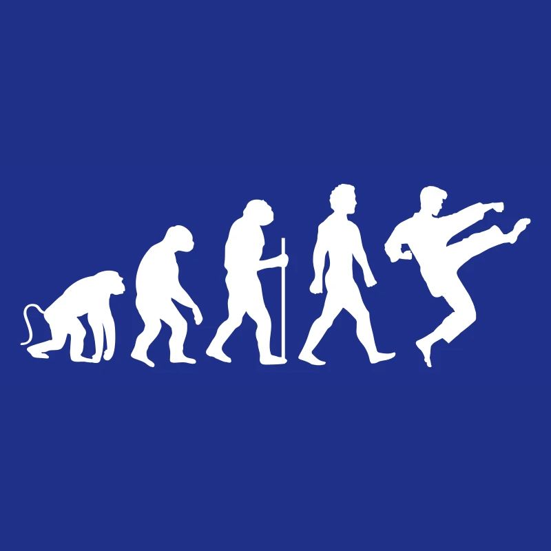 Karaté Évolution