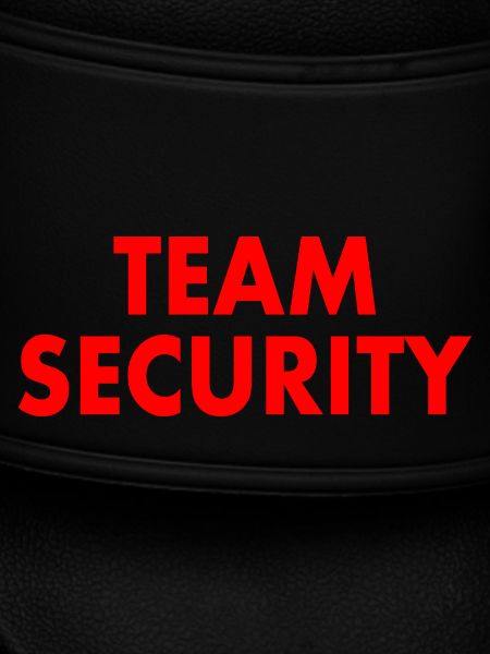 Team security