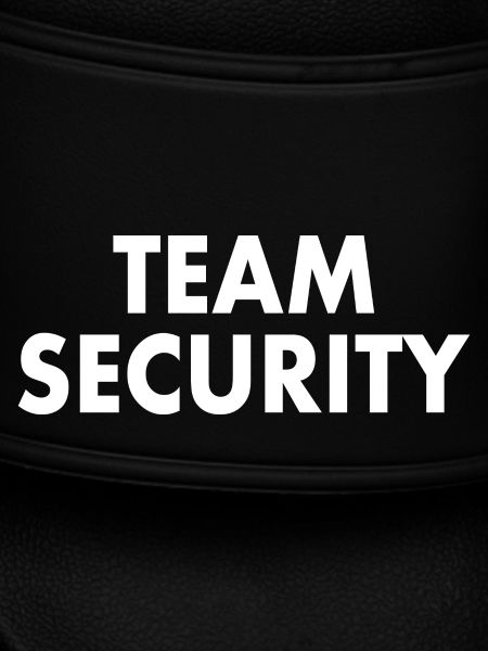 Team security