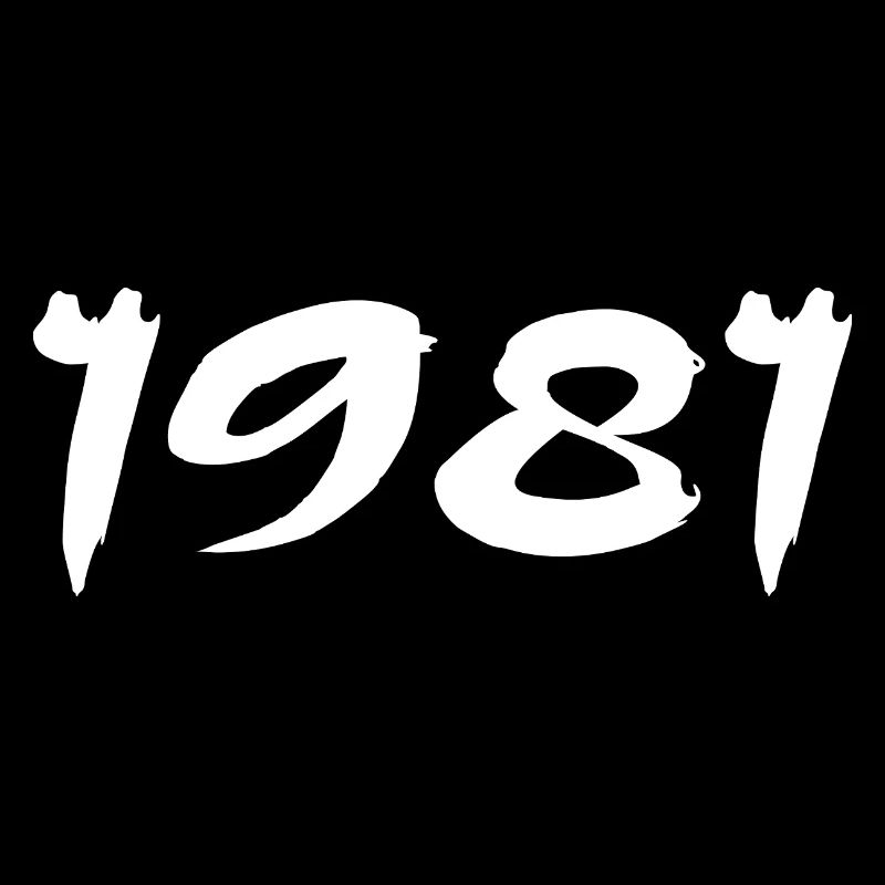 1981 Geschenk zum 44-jährigen Jubiläum 1981 Retro 1981
