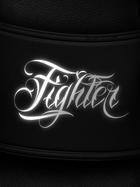 Fighter