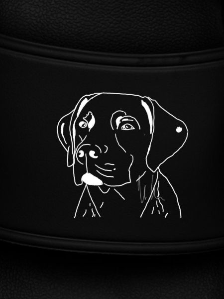 Labrador