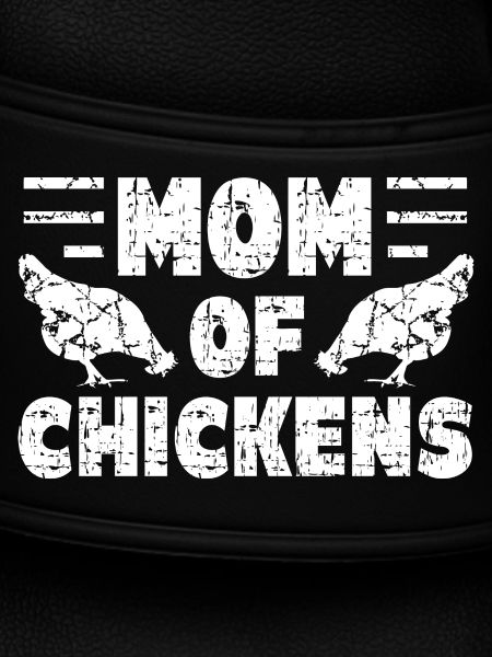 Chicken chickens