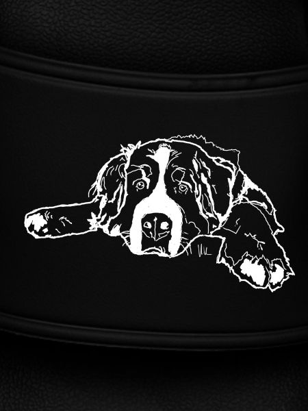 Berner Sennenhund