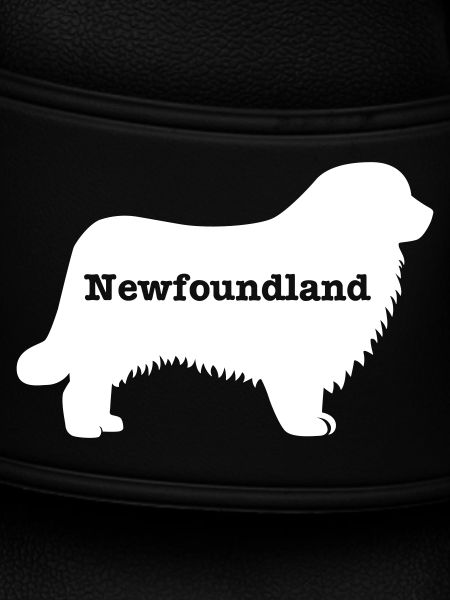 Newfoundland