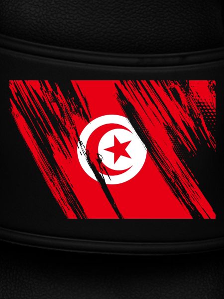 Tunisia Flag