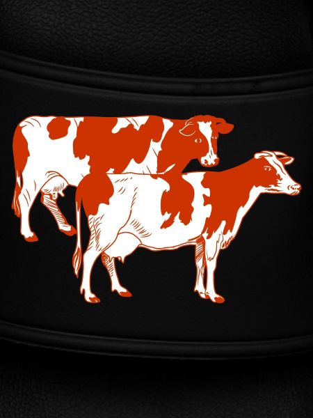Two red-spotted cows
