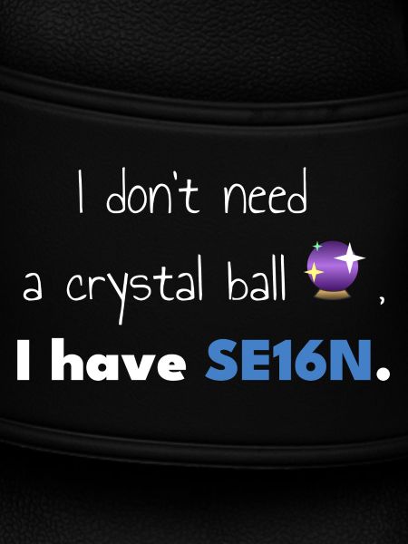 SAP-SE16N-CrystalBall