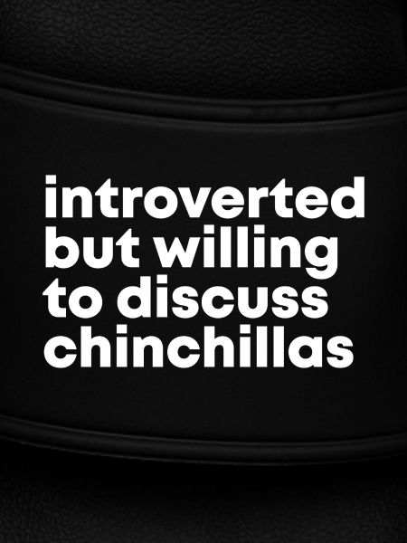 Chinchilla Chinchilla Chinchilla