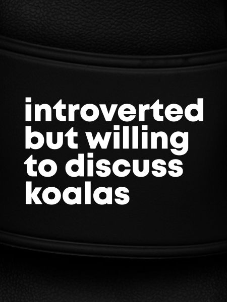 Koala Koala Koala