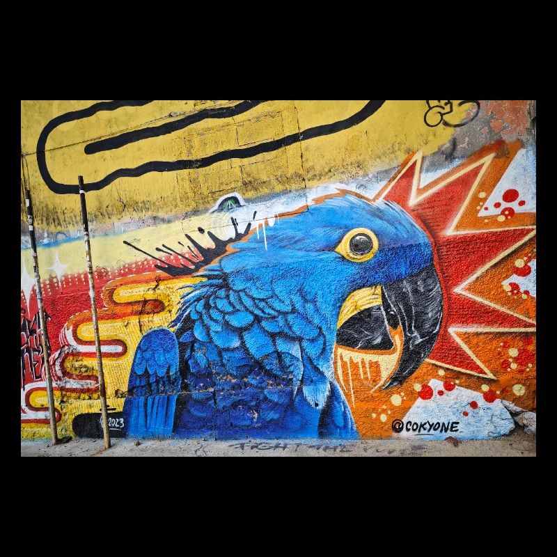 Graffiti World 6