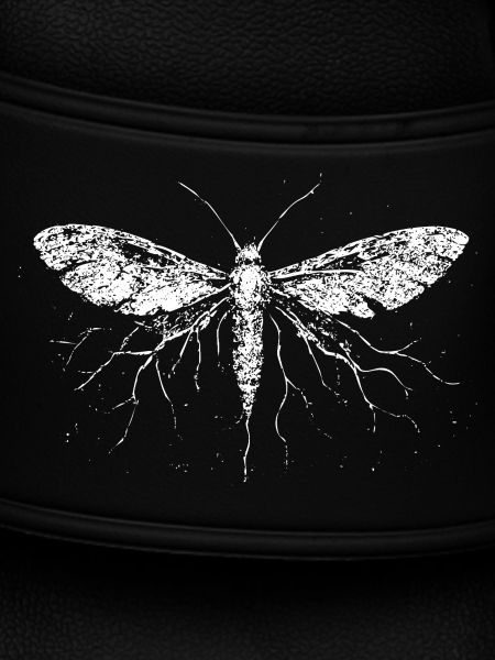 Electrified Moth