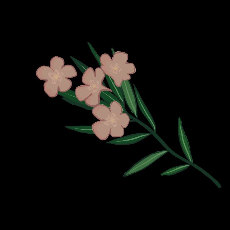 Rosa Oleander Blütenzweig