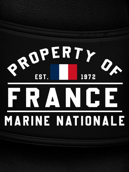 French Navy Ownership