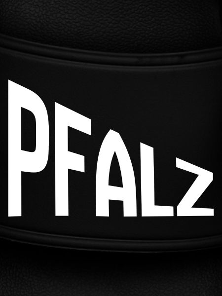 Palatinate