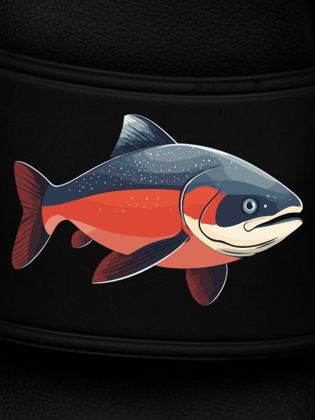 Salmon Salmon