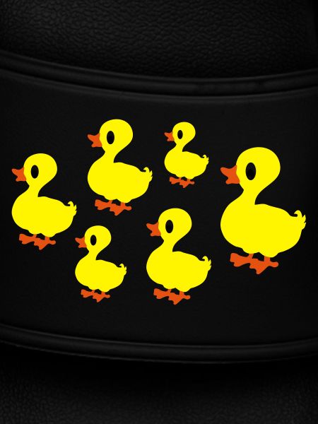 ducks