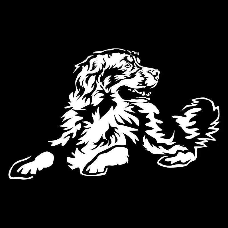Berner Sennenhund "Black Edition"