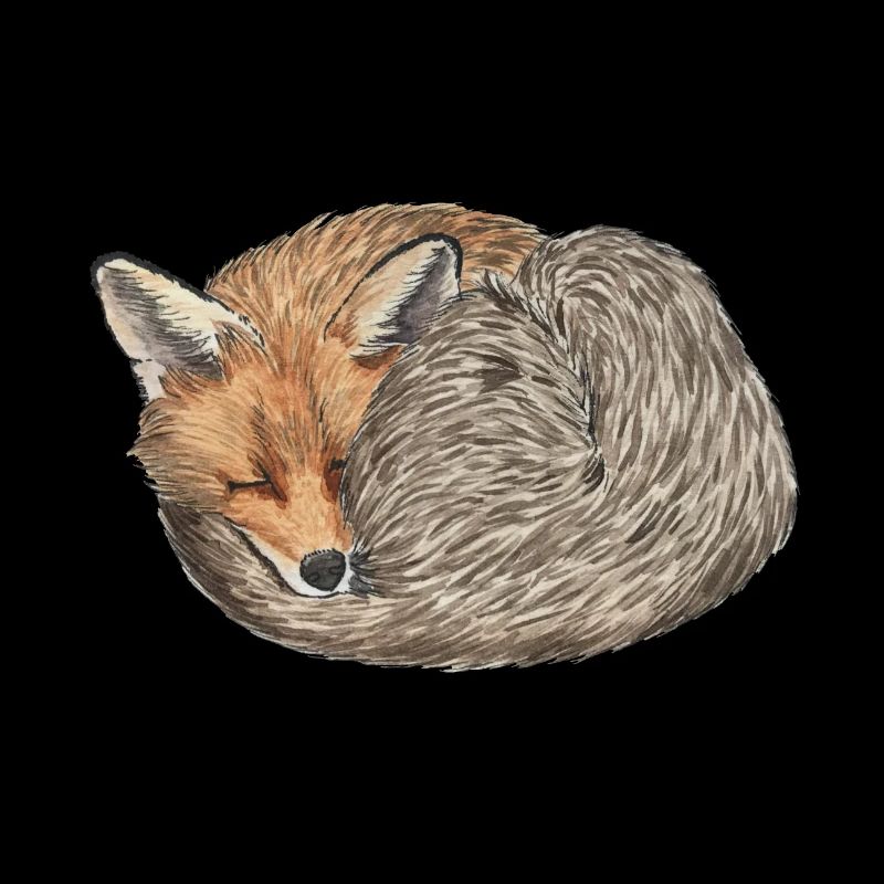 sleeping curled red fox