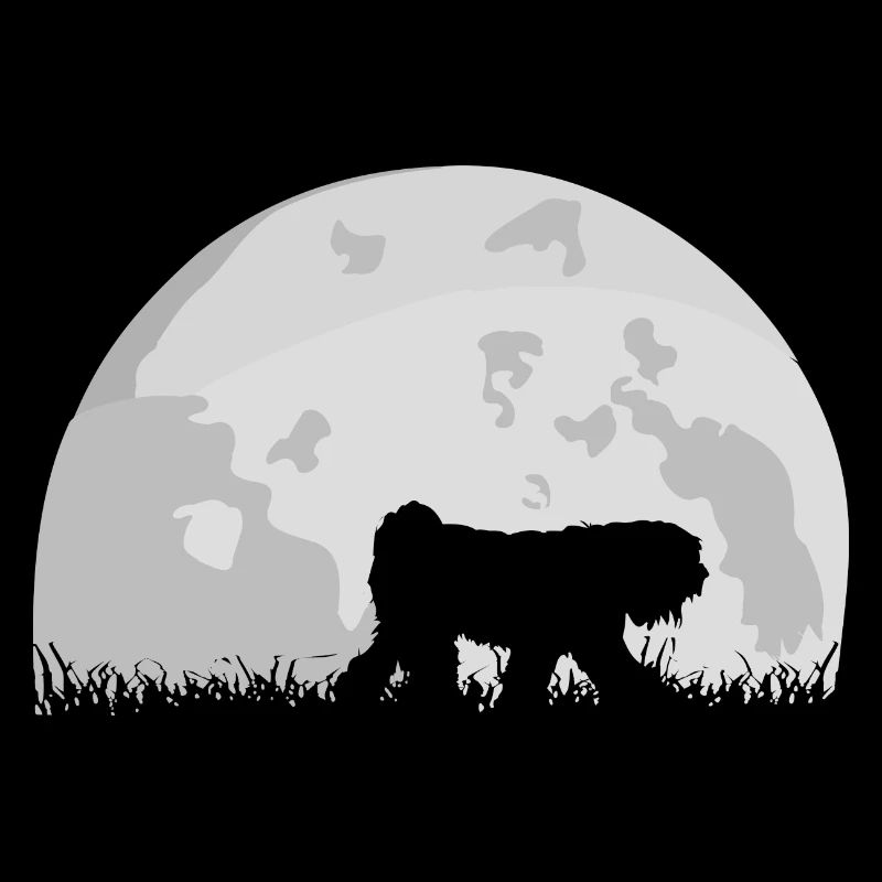 Tibétains terriers de pleine lune
